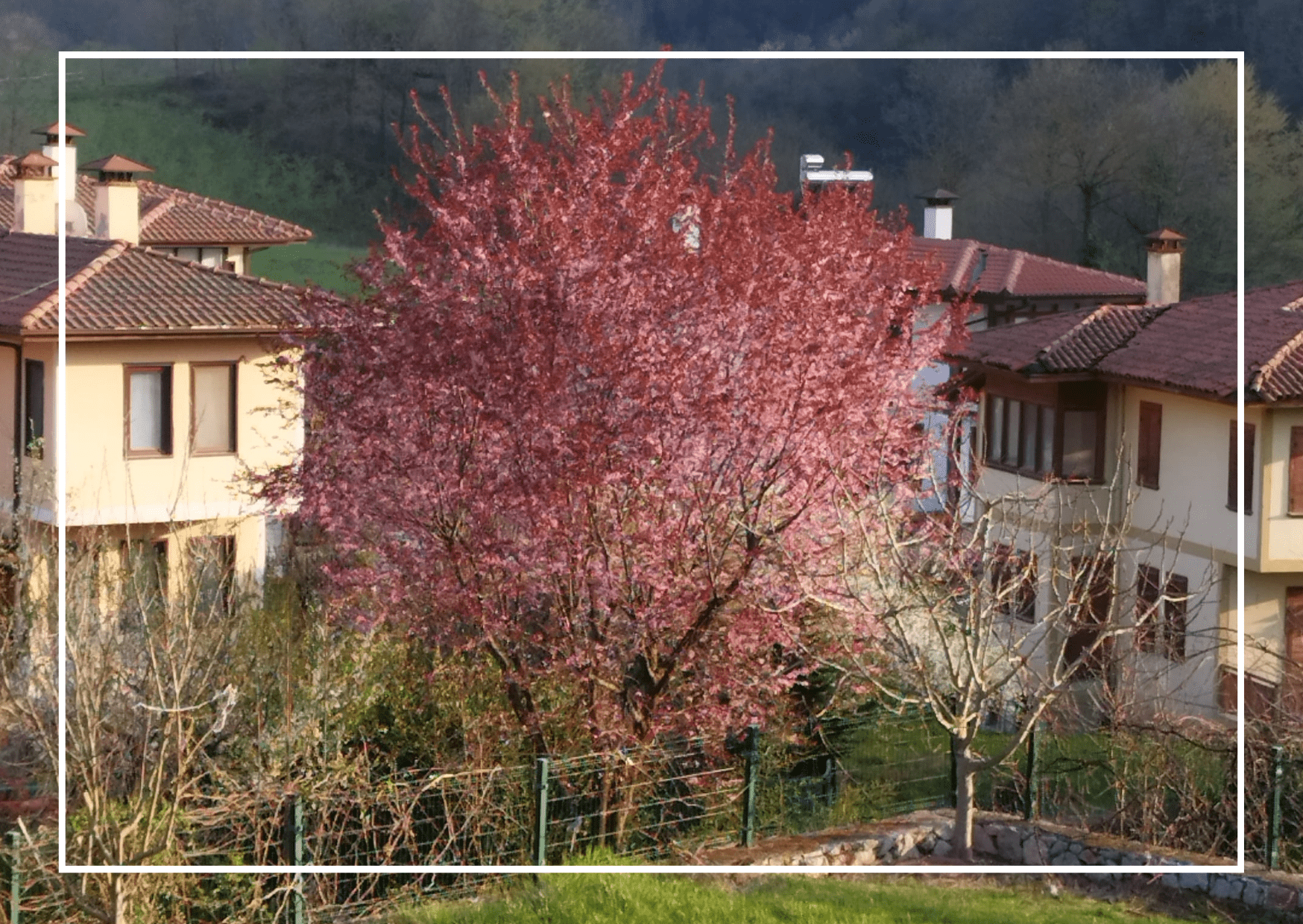 Beykoz Konakları